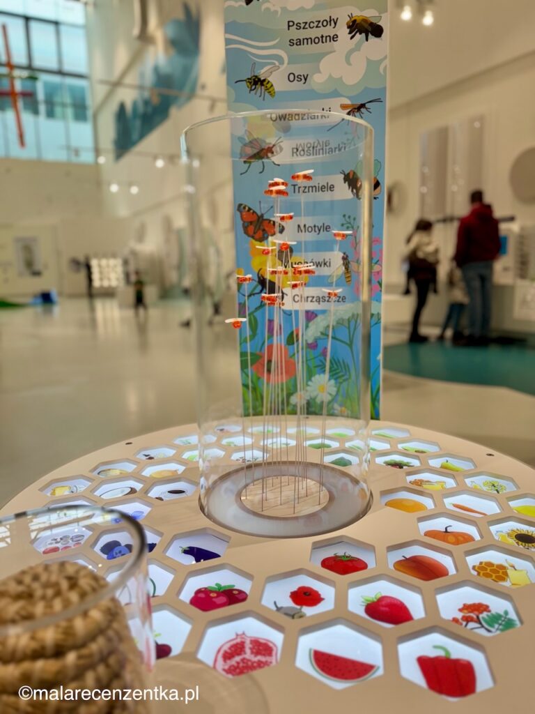Gra edukacyjna w Cogiteon Kraków